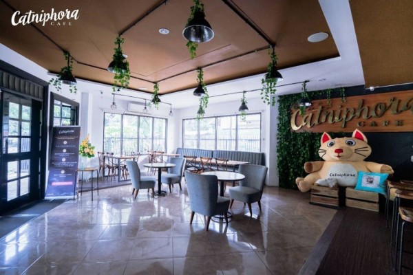 5 Rekomendasi Meeting Room Coffee Shop dan Resto di Solo