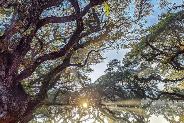 9 Spot Foto Ciamik di Kota Lasem Rembang, Instagramable Abis!