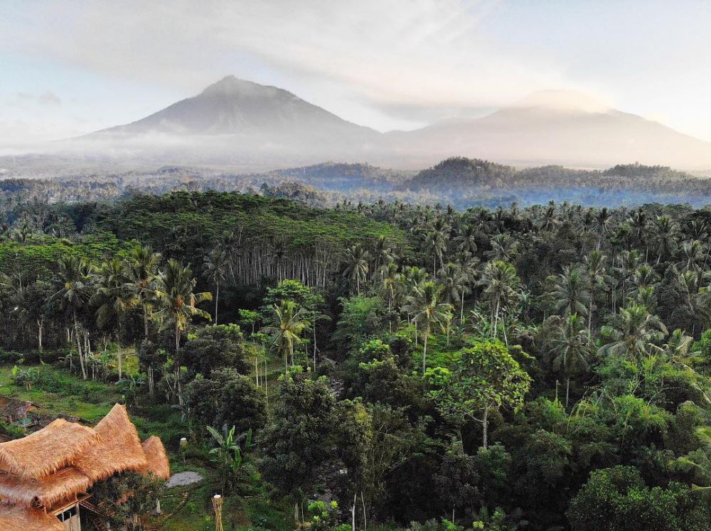 10 Potret Bamboo And B, Hotel Bambu Di Lereng Gunung Ijen