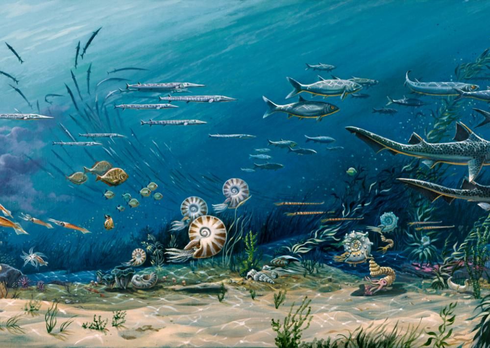 Древний океан 5 букв. Жители океана Тетис. Тетис океан под водой. Океан Тетис и его обитатели. Коралловых рифов древнего океана Тетис..