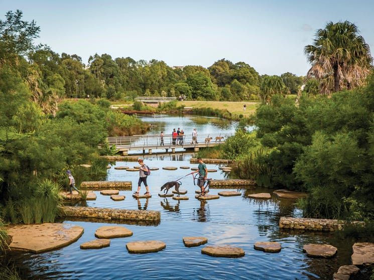 5 Taman Terbaik dan Paling Hijau di Sydney-Australia, Nyaman!