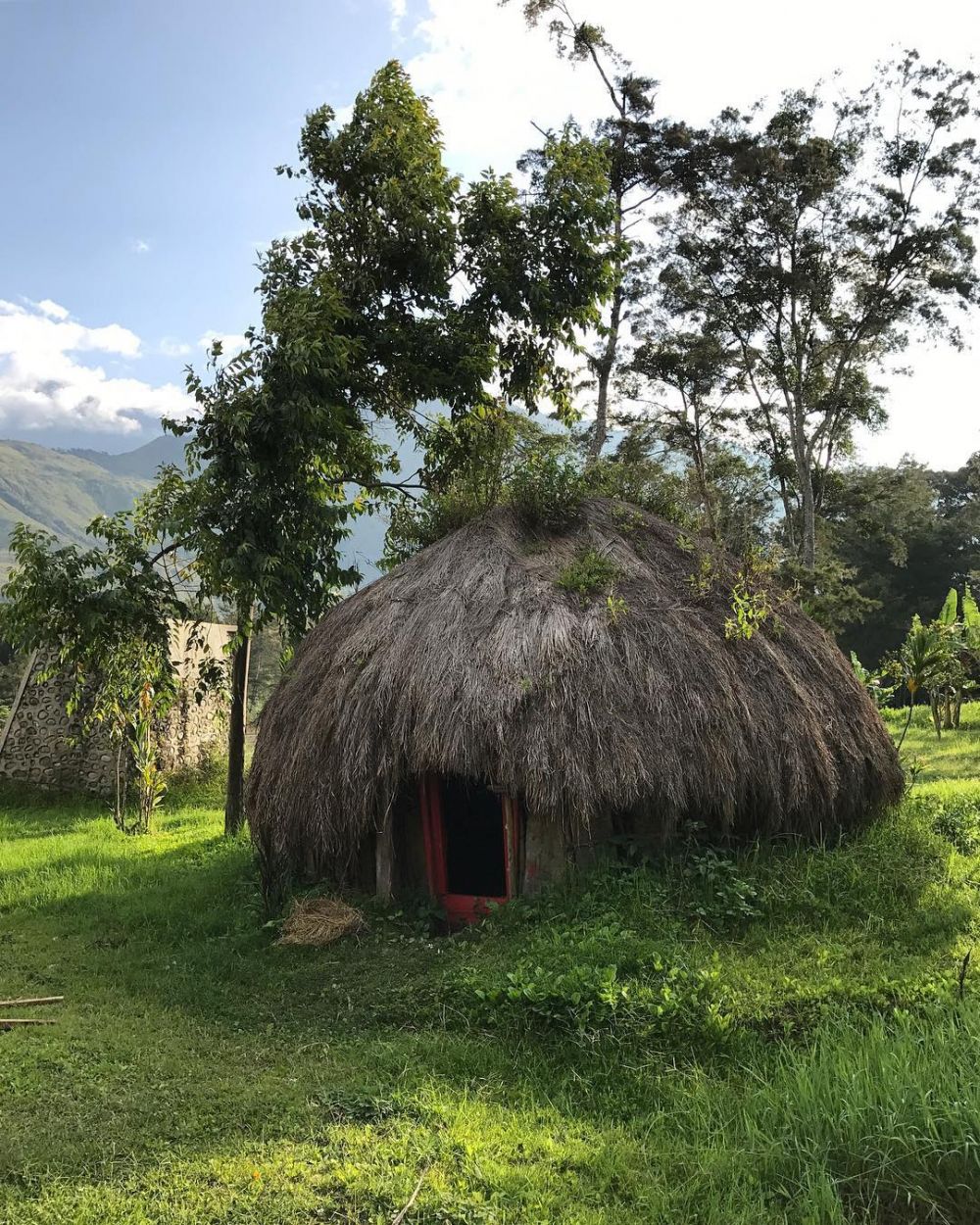 Fakta Honai Rumah Adat Papua