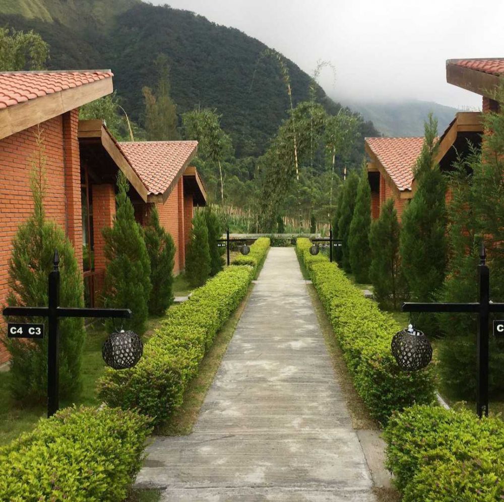 Rekomendasi Hotel di Bromo dengan View Menawan Bikin Kagum