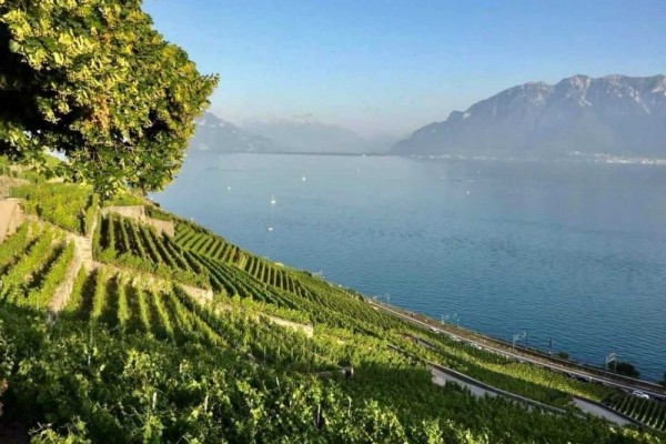 5 Destinasi Wisata di Montreux, Swiss yang Buat Liburanmu Kece Abis!