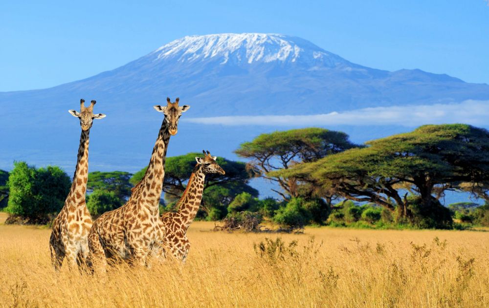 Menakjubkan, 10 Destinasi Wisata yang Wajib Kamu Kunjungi di Tanzania