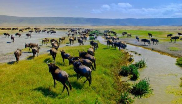 Menakjubkan, 10 Destinasi Wisata yang Wajib Kamu Kunjungi di Tanzania