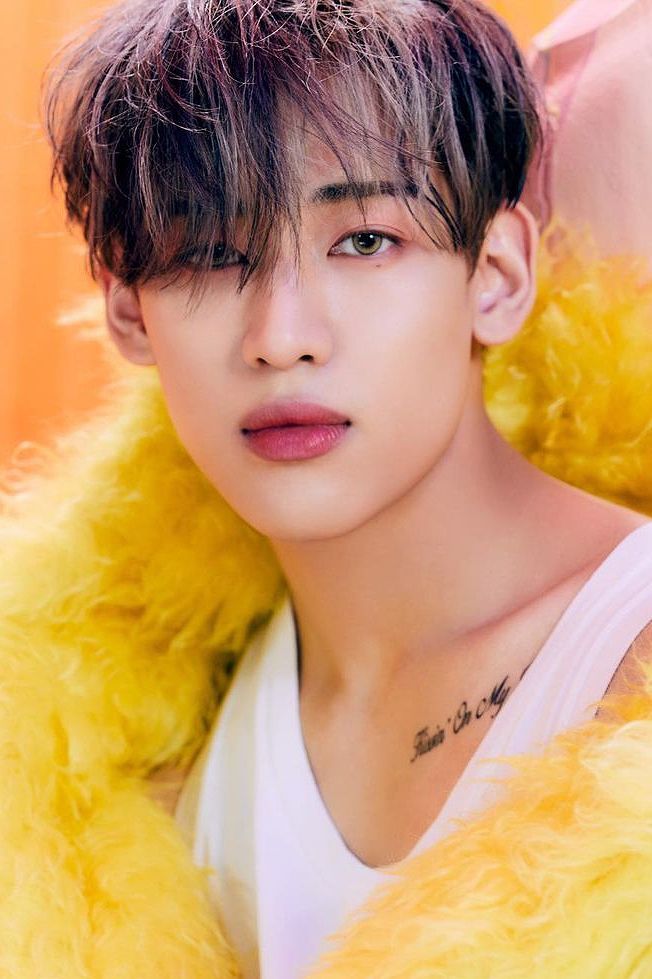 Ungkap Concept Photo, 9 Fakta Mini Album Baru BamBam GOT7