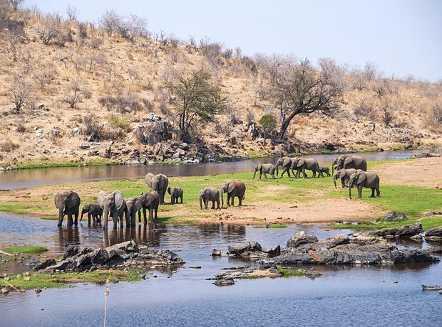 Menakjubkan, 10 Destinasi Wisata yang Wajib Kamu Kunjungi di Tanzania