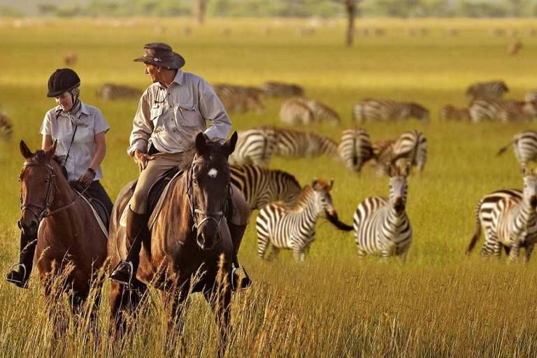 Menakjubkan, 10 Destinasi Wisata yang Wajib Kamu Kunjungi di Tanzania