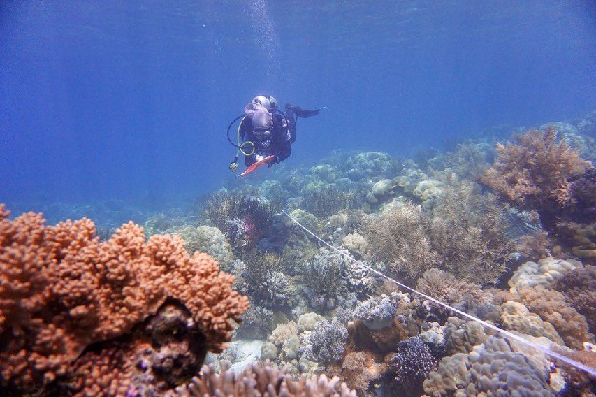 9 Pesona Taman Nasional Taka Bonerate, Lautan Surga di Selayar