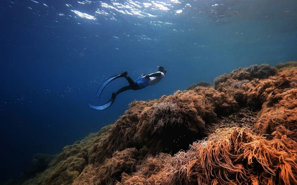 5 Pantai Indah di Tidore, Pemandangannya Tak Tertandingi!