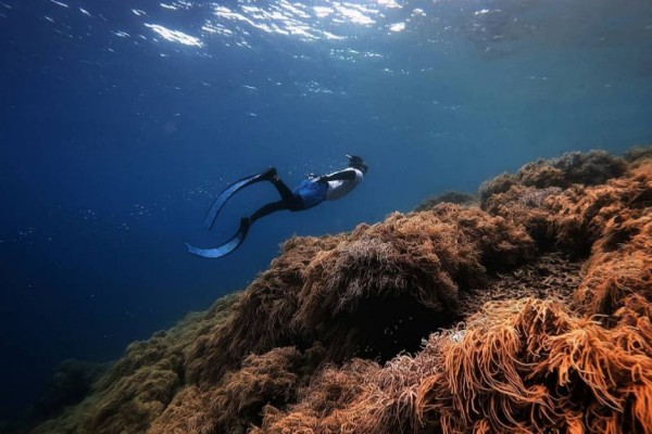 5 Pantai Indah di Tidore, Pemandangannya Tak Tertandingi!