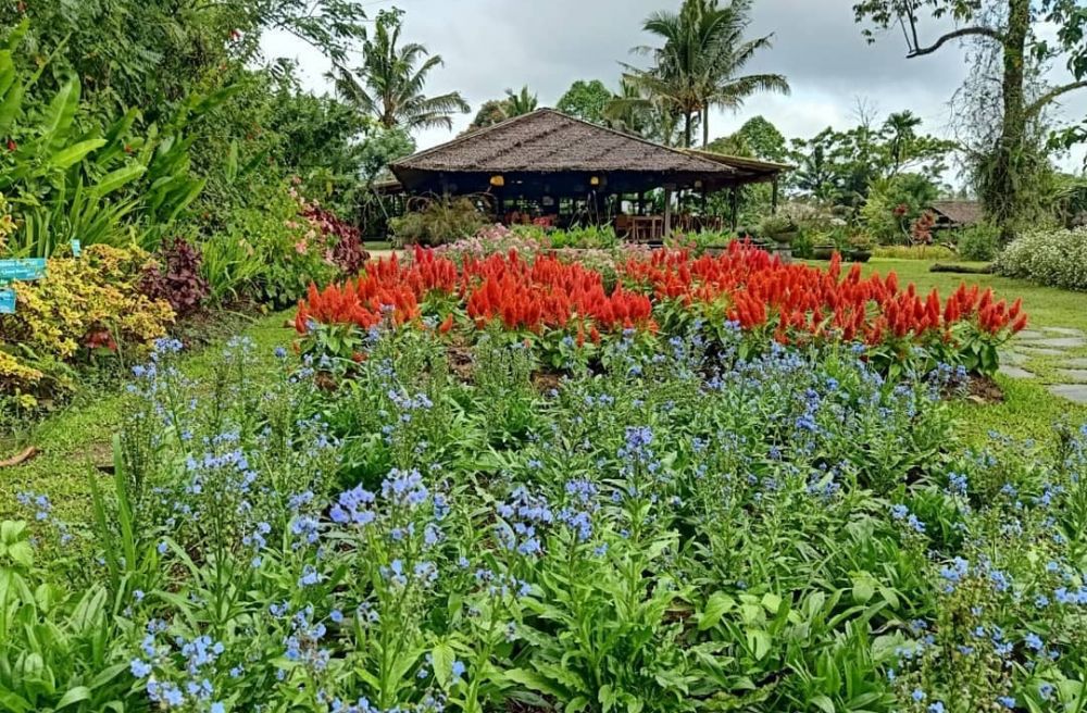 5 Taman Tercantik di Manado, Suasananya Menenangkan!