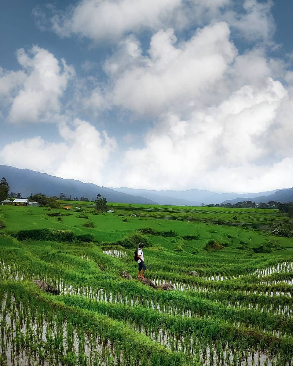 9 Potret Kampung Galung, Wisata Sawah di Sinjai Barat yang Eksotis