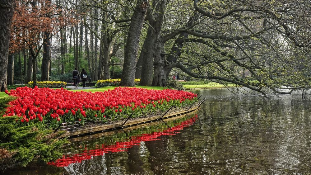 7 Desa Wisata Terindah di Belanda, Tertarik Eksplorasi?