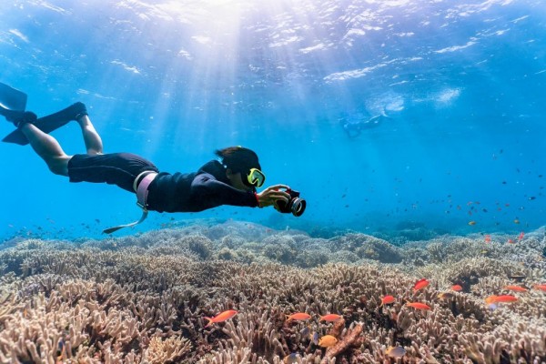 6 Spot Snorkeling di Banyuwangi, Pesona Bawah Lautnya Bikin Gak Kedip!