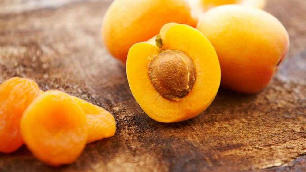 Resep Apricot Frozen Yogurt Menu Es Krim Segar Yang Gampang