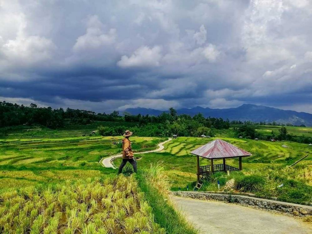 9 Potret Kampung Galung, Wisata Sawah di Sinjai Barat yang Eksotis