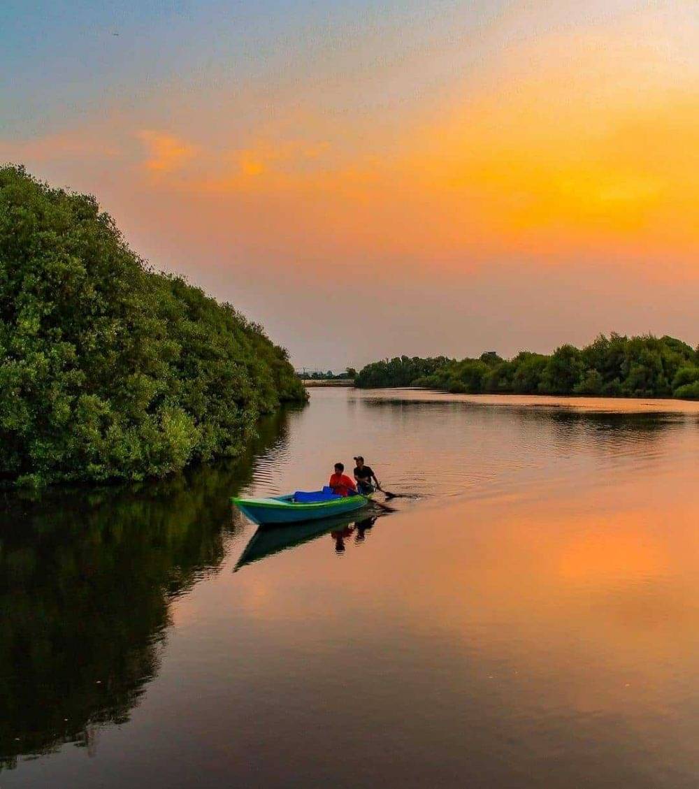 Taman Wisata Alam Mangrove Angke Kapuk