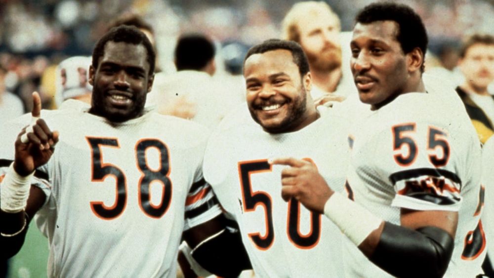 1985 bears