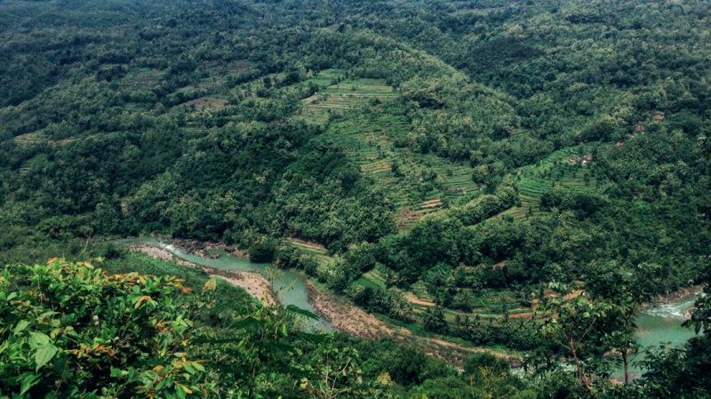Wisata Bukit Mojo Gumelem: Rute, Lokasi, Harga, dan Tips Liburan