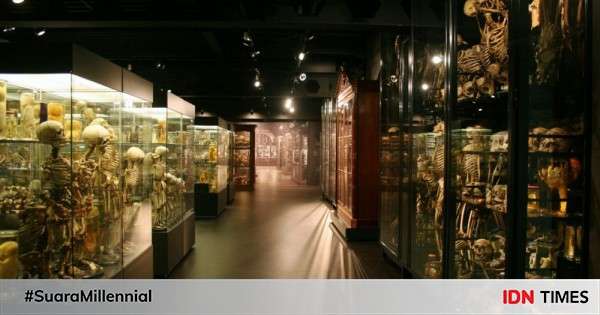 5 Museum Paling Unik Di Belanda, Simpan Koleksi Menantang!