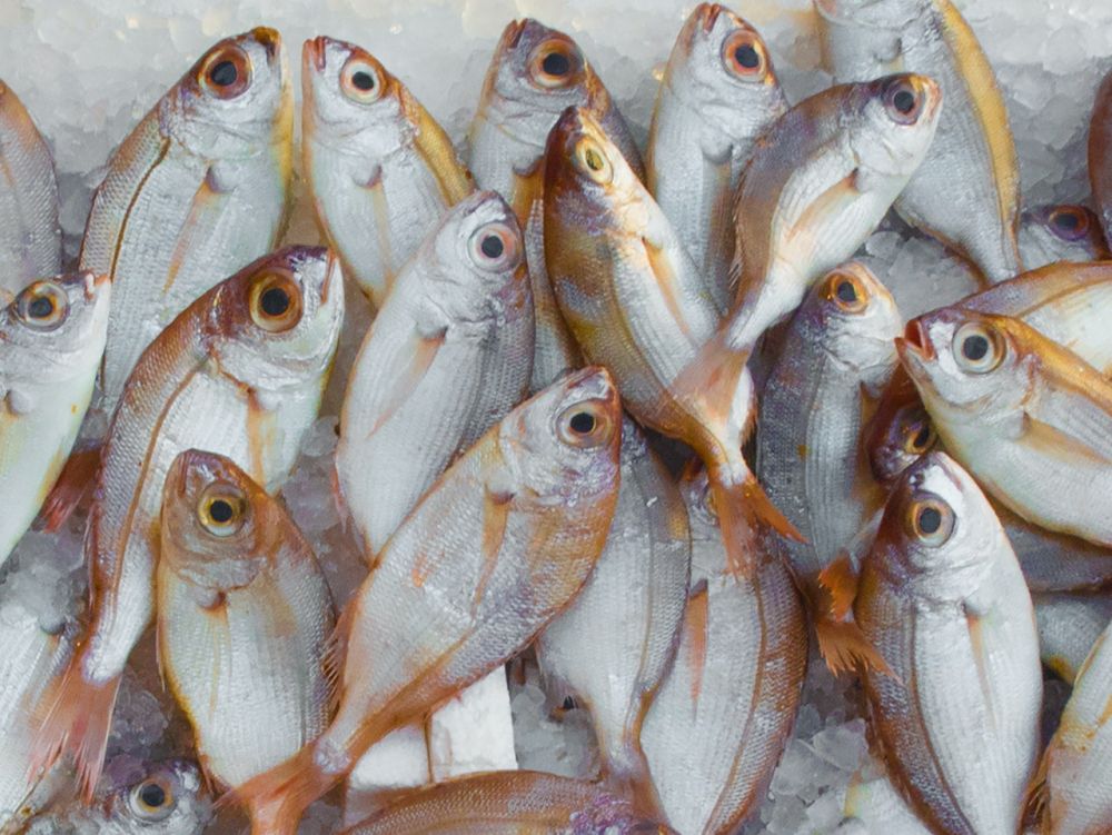 Resep Ikan Kuah Asam Khas Manado, Penambah Selera Makan