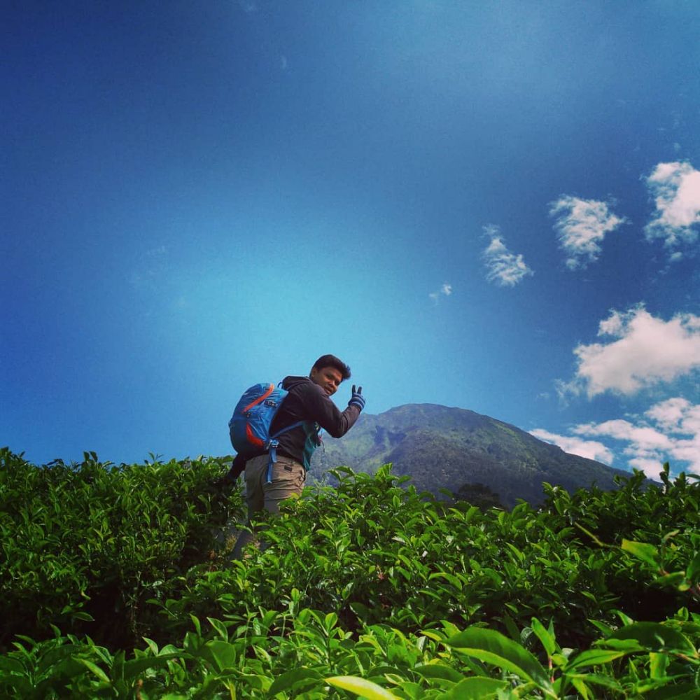 6 Potret Keindahan Kebun Teh Pagaralam di Kaki Gunung Dempo Sumsel