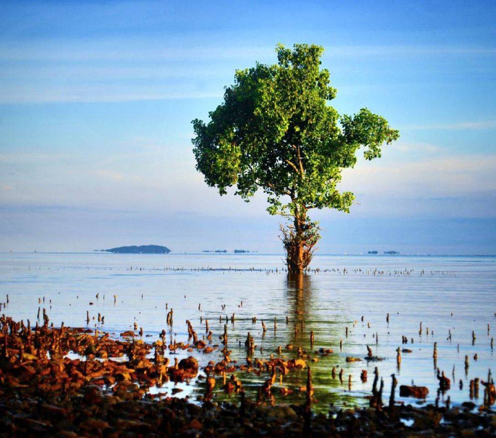 10 Pesona Pantai Tete, Wisata Bahari Bersejarah Di Bone