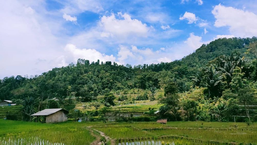 Cocok untuk Healing, 10 Desa Wisata di Jabar yang Harus Kamu Kunjungi