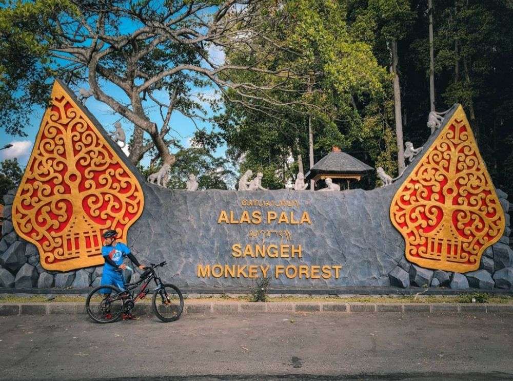 Informasi Wisata Sangeh Monkey Forest