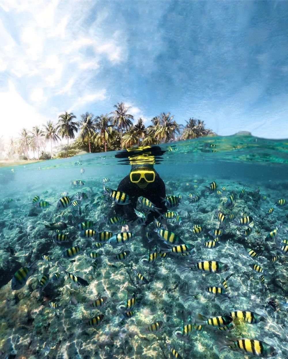6 Fakta Pulau Pagang-Sumbar, Surga Snorkeling di Samudera Hindia