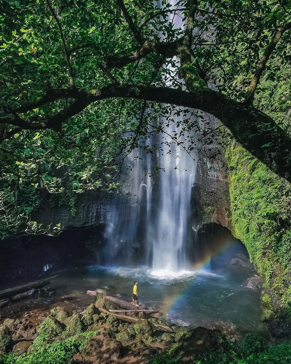 10 Potret Curug Cisadane, Surga Tersembunyi di Bogor