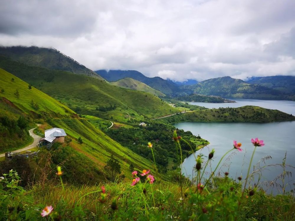 Pesona Hutan yang Masih Asli di Bukit Holbung