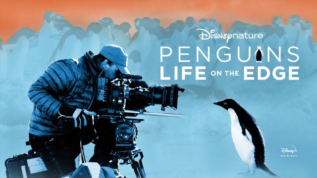 Rekomendasi Film dan Serial Tema Wildlife di Disney+ Hotstar