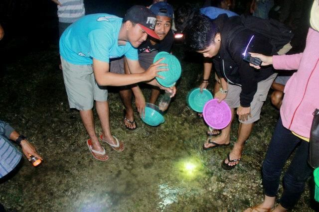 Pantai Kaliantan di Lotim, Spot Menarik untuk Kitesurfing