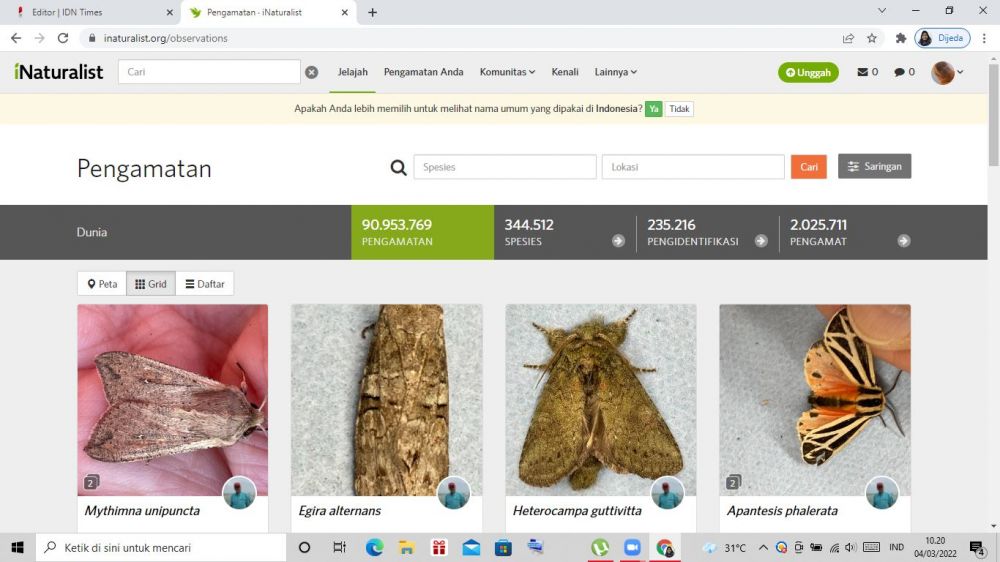 Inaturalist org на русском