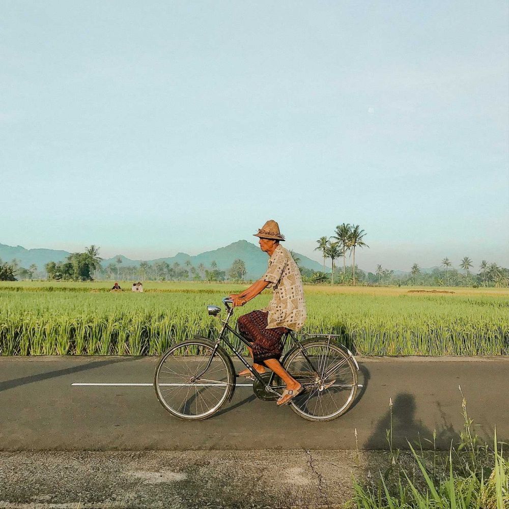Pesona Keindahan Desa Tempos di Lombok Barat yang Bikin Mata Adem