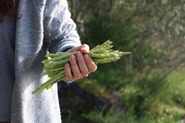 5 Resep Mengolah Asparagus dengan Mudah, Bisa Direbus dan Dipanggang