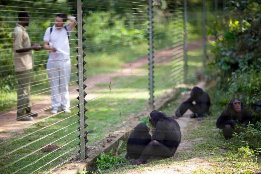 5 Objek Wisata Teratas di Yaounde, Kamerun yang Cocok untuk Healing