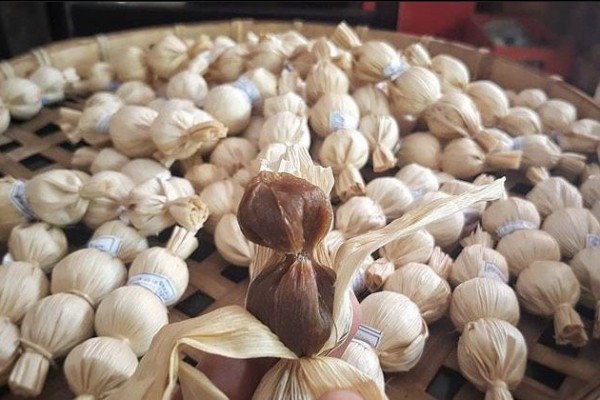 5 Aneka Kue Khas Lombok dengan Cita Rasa Legit, Wajib Dicicipi!