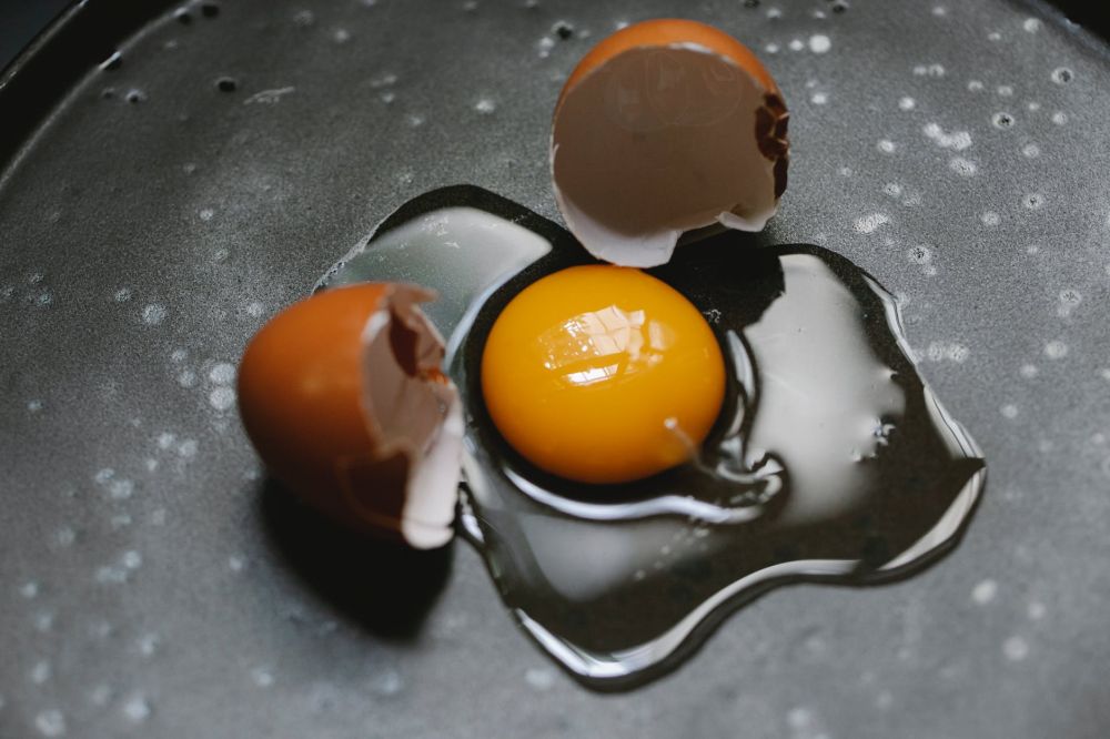 Apa Itu Telur Omega 3 dan Bedanya dengan Telur Biasa?