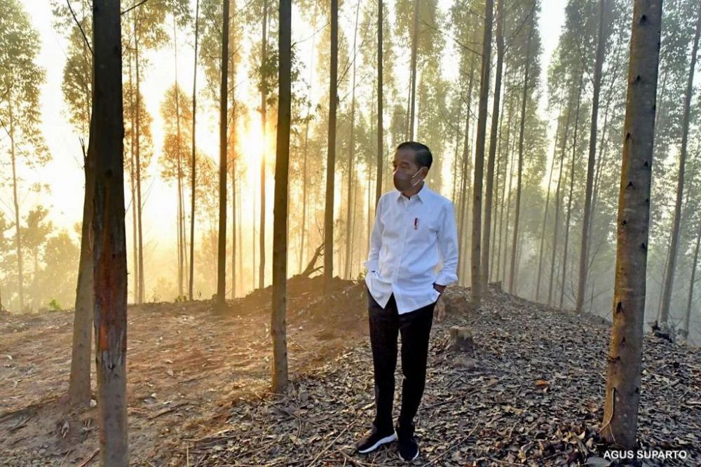 5 Peralatan Kemah Jokowi di IKN, Bisa Jadi Inspirasi