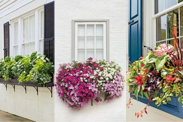 Window flowerbox Side view