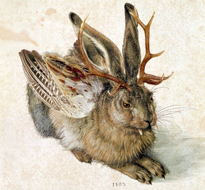 9 Fakta Jackalope, Legenda Kelinci Bertanduk Rusa Amerika