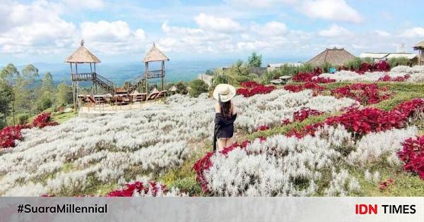 Informasi Wisata Taman Edelweis Bali