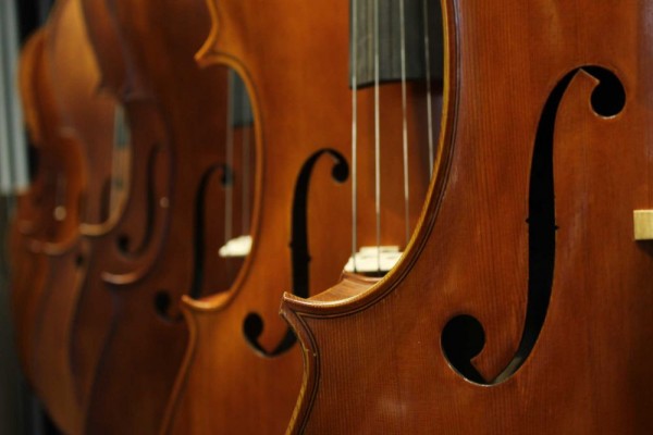 7 Fakta Menarik Tentang Biola, Alat Musik Klasik yang Indah