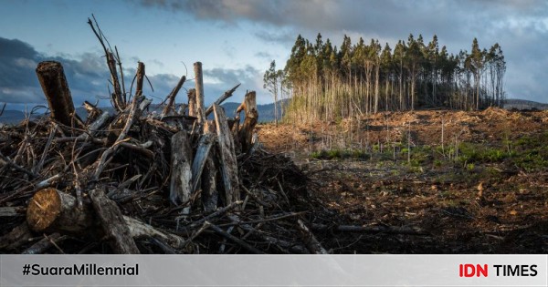 5 Hal Yang Mungkin Terjadi Bila Habitat Hewan Hilang