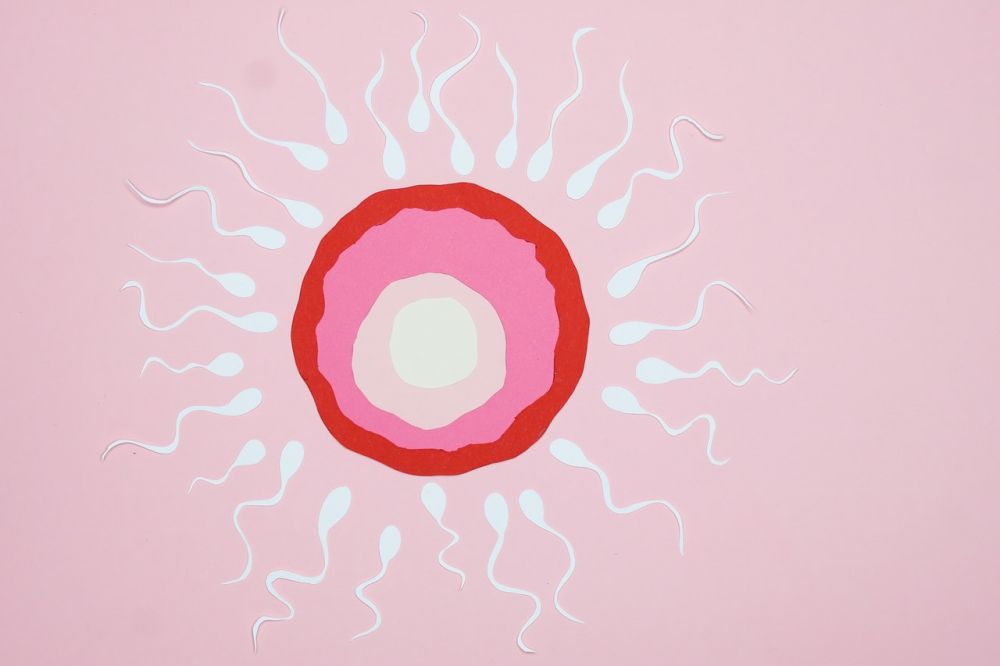 Apakah Menelan Sperma Bisa Hamil? Kamu Harus Cek Faktanya!