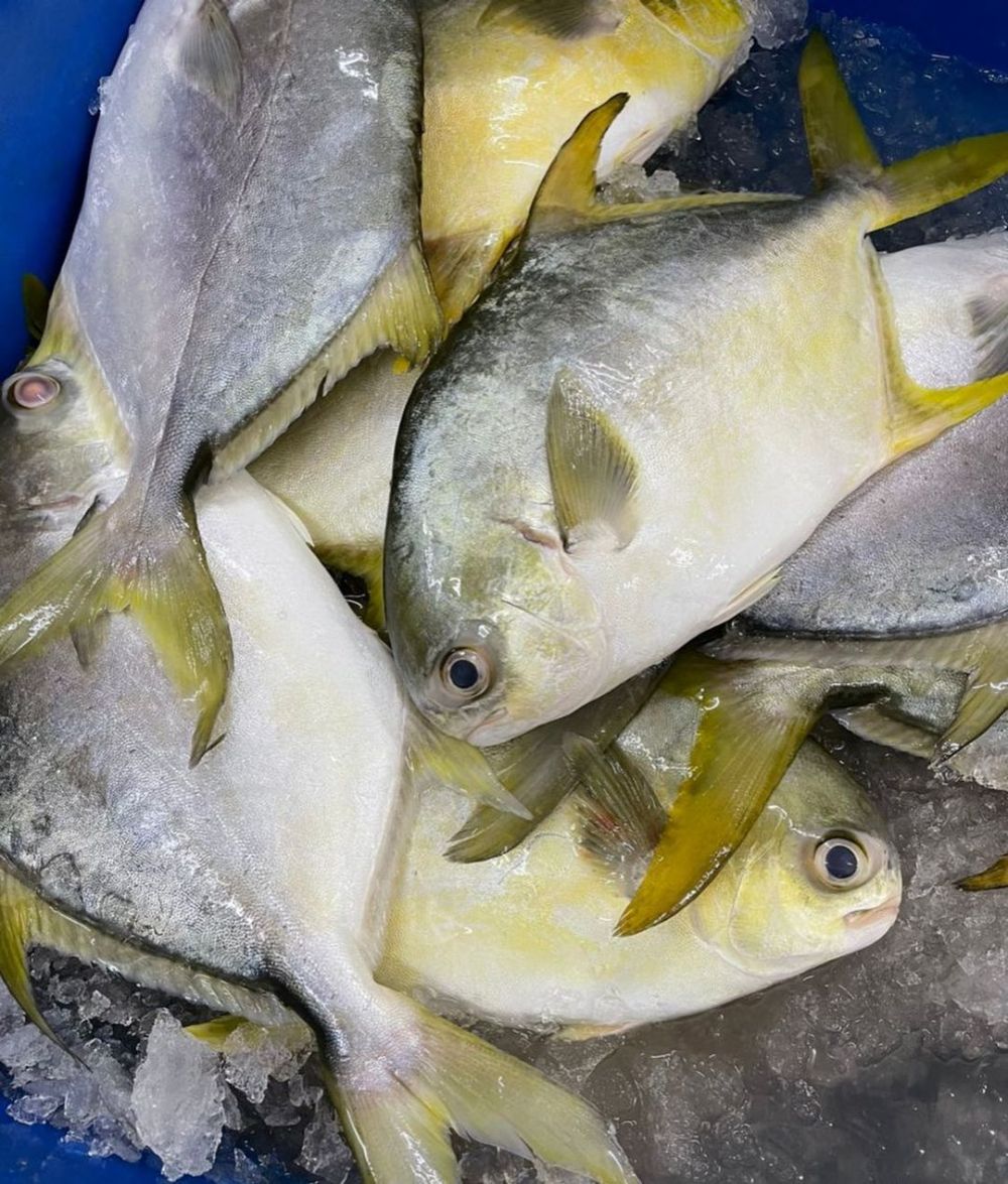 Asam Pedas Ikan Bawal Khas Bangka